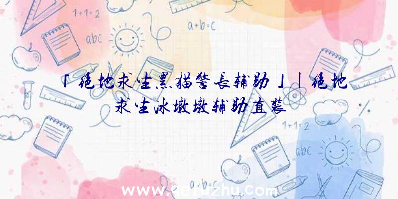 「绝地求生黑猫警长辅助」|绝地求生冰墩墩辅助直装